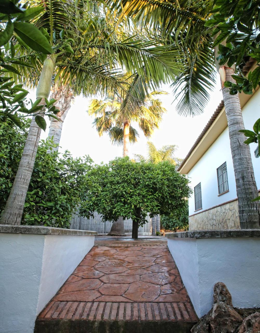 Casa Rural Tipica Andaluza, Wifi,Piscina, Barbacoa, Aire Acondicionado, 5Min Centros Alhaurín el Grande Exteriér fotografie